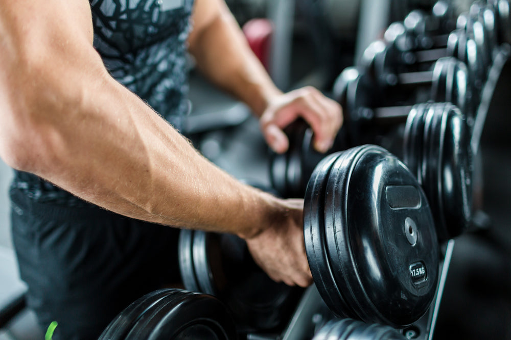 Should You Buy A Dumbbell Rack? | An Expert's Buying Guide – Exersci